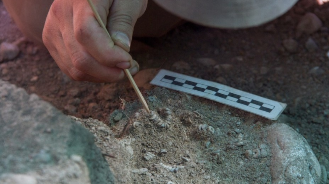 Hallaron un cementerio indígena a cuadras del rascacielos más alto de Latinoamérica