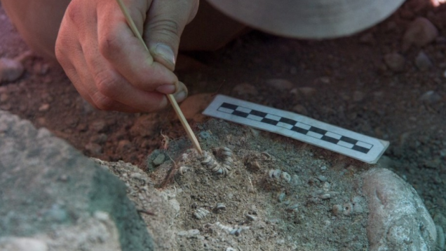 imagen Hallaron un cementerio indígena a cuadras del rascacielos más alto de Latinoamérica