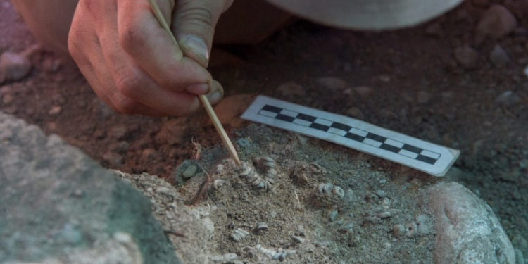 Hallaron un cementerio indígena a cuadras del rascacielos más alto de Latinoamérica