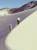 Conocemos detalles del Observatorio Nacional de la Degradación de Tierras y Desertificación