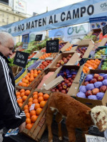 Jorge Figueroa: "Estamos esperando que se visibilice la crisis que vive el sector"