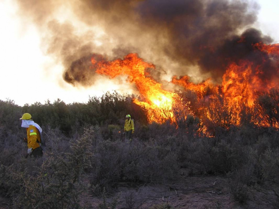 "Se quemaron muchas hectáreas y aún hay dos focos activos"