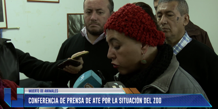 ATE dio una conferencia de prensa por la situación del Zoo de Mendoza