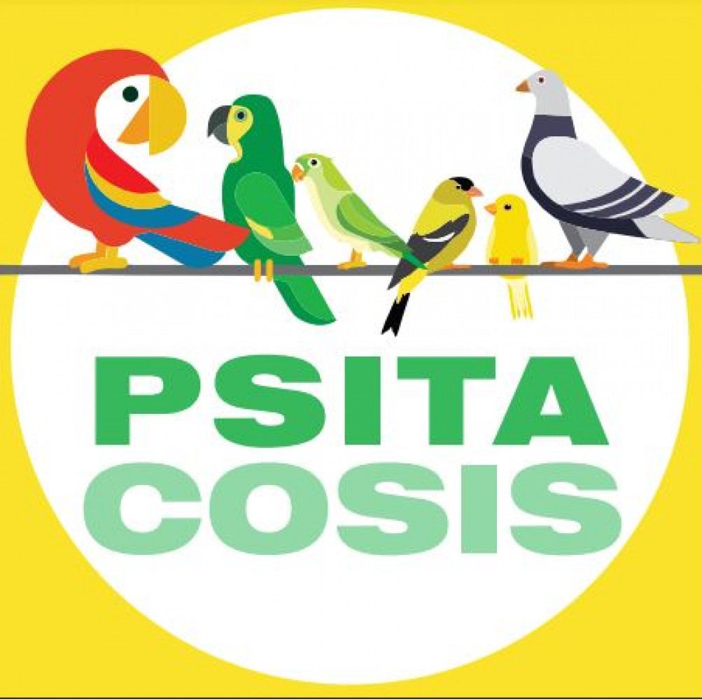 Psitacosis: Salud recuerda que está prohibido el comercio de animales silvestres y recomienda no tener aves en cautiverio