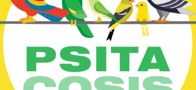 Psitacosis: Salud recuerda que está prohibido el comercio de animales silvestres y recomienda no tener aves en cautiverio