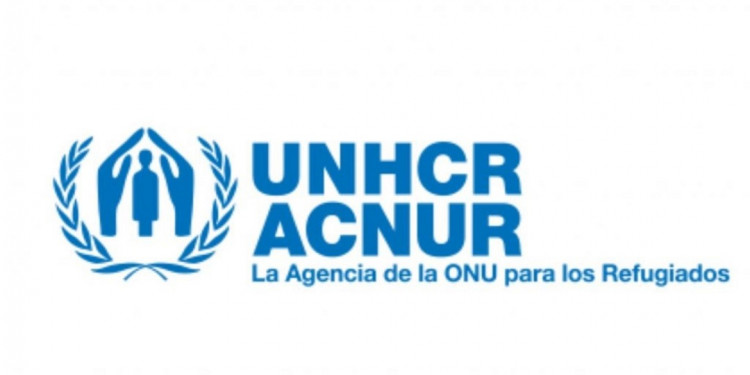 Organizaciones internacionales, blanco de ataques y descrédito
