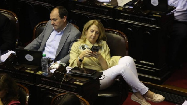 imagen Reforma previsional: cómo votaron los diputados mendocinos