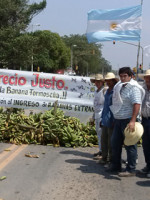 Por la crisis de la actividad, realizarán un "bananazo" en Plaza de Mayo
