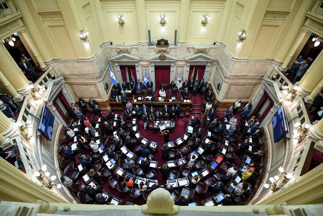 El Senado deberá renovar este año 24 bancas y la oposición es la que más lugares arriesga