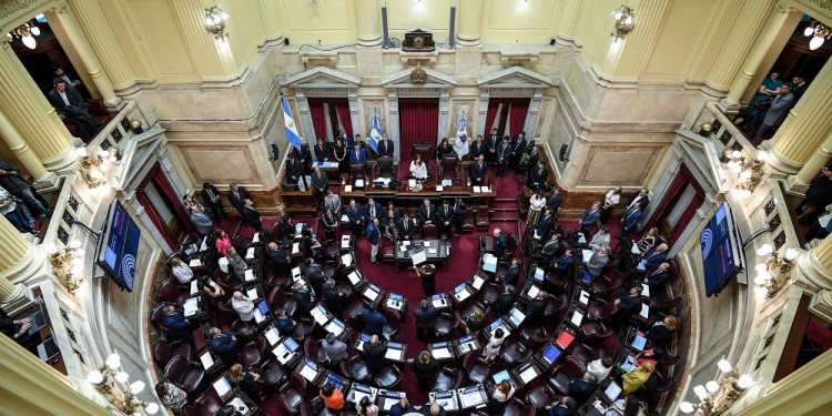 El Senado deberá renovar este año 24 bancas y la oposición es la que más lugares arriesga