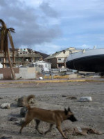 Barbuda: de isla turística a pueblo fantasma