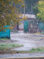 La UNCUYO dona terrenos para los barrios Flores y Olivares