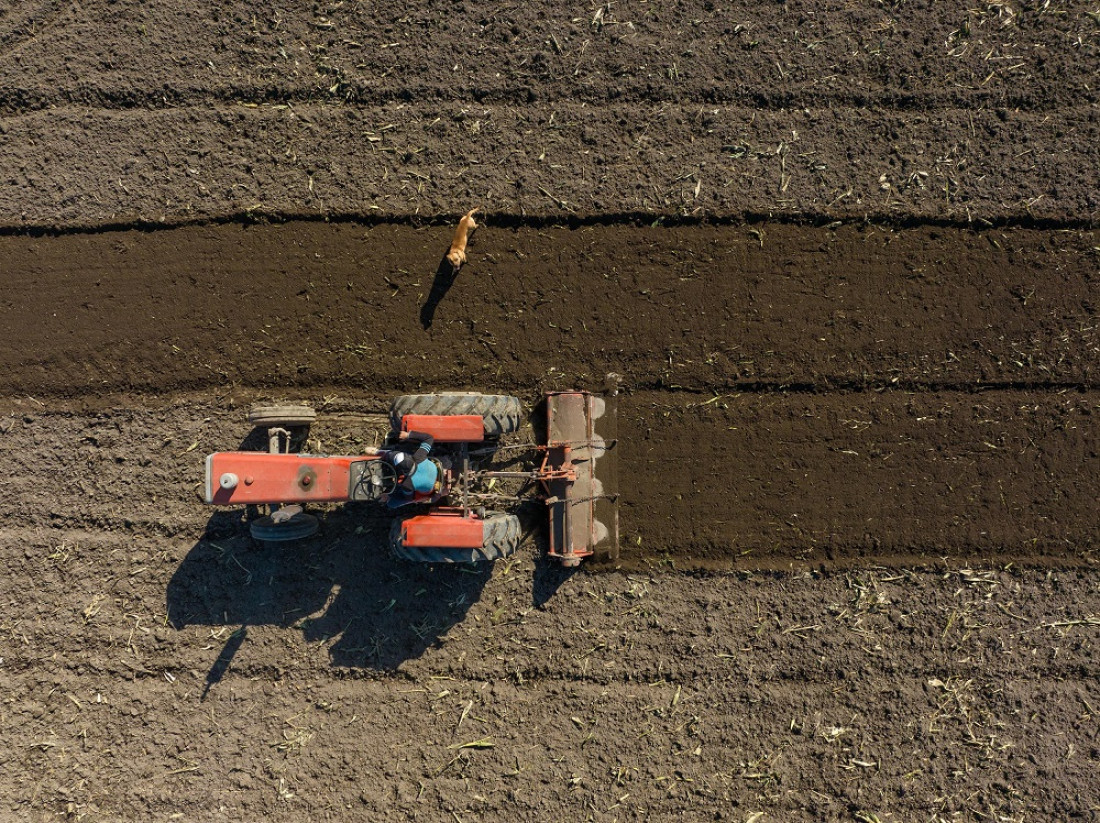 En Mendoza disminuyen las fincas pequeñas y crecen las grandes