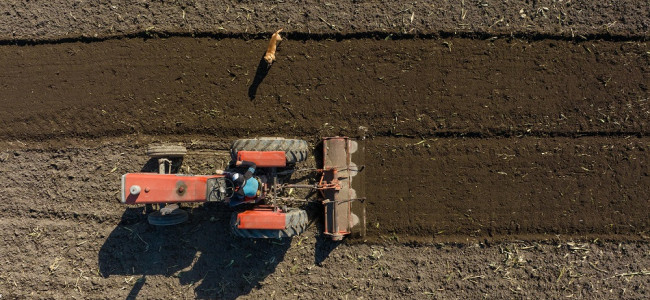 En Mendoza disminuyen las fincas pequeñas y crecen las grandes