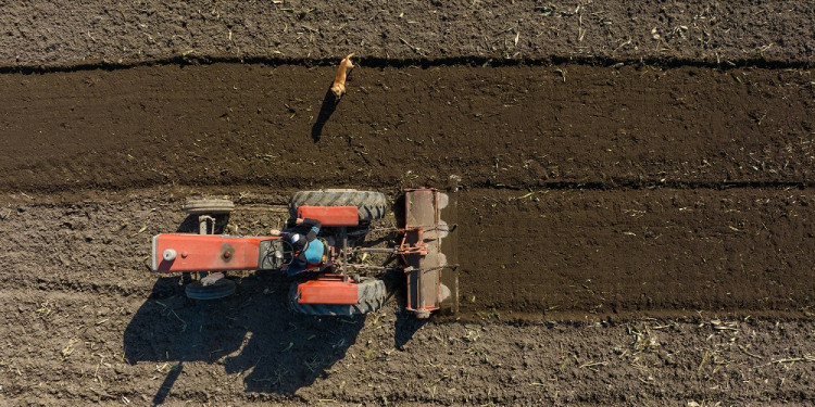 En Mendoza disminuyen las fincas pequeñas y crecen las grandes