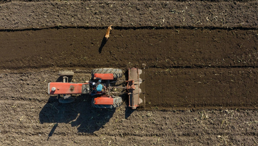 imagen que ilustra noticia En Mendoza disminuyen las fincas pequeñas y crecen las grandes
