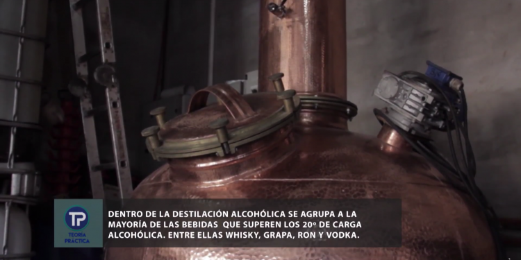 TEORÍA PRÁCTICA | TEMPORADA 3 - CAPÍTULO 20: BEBIDAS DESTILADAS