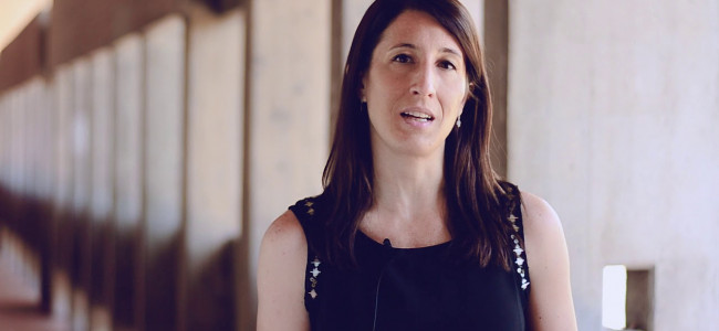 Energías renovables: presentan un estudio sobre su influencia en las economías regionales