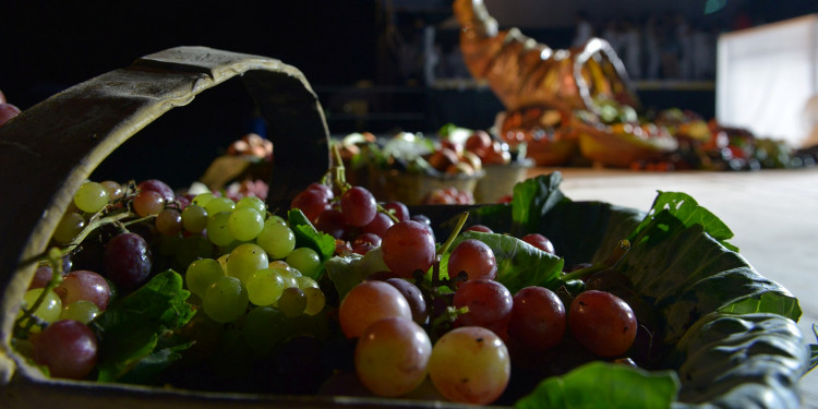 Seguí en vivo la Bendición de los Frutos