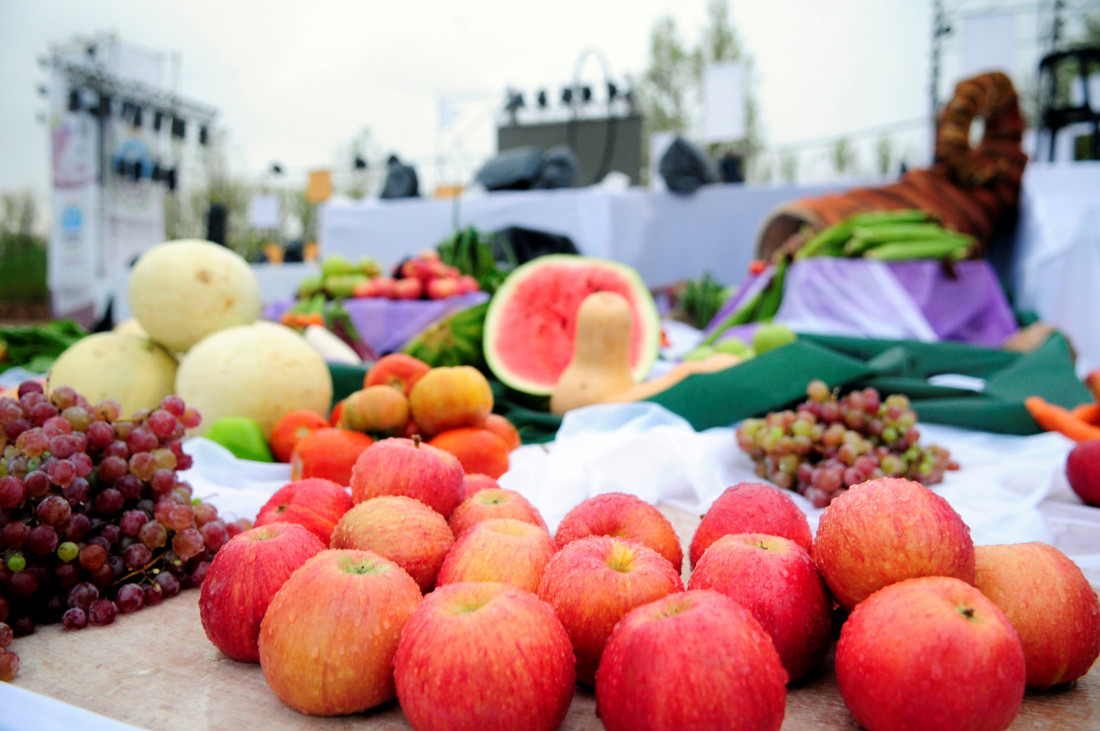 Seguí en vivo la Bendición de los Frutos