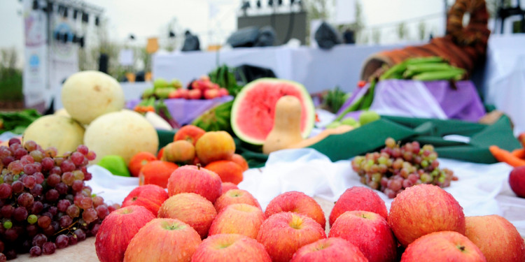 Seguí en vivo la Bendición de los Frutos