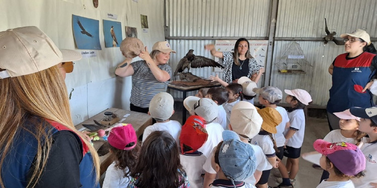 Educación ambiental en acción: ya están abiertas las inscripciones para "Sembrando el Cambio"
