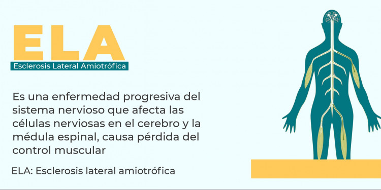 ELA: un encuentro para conocer, tender redes y ofrecer información confiable