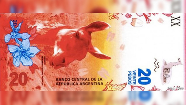 imagen Lanzarán esta semana el nuevo billete de $20