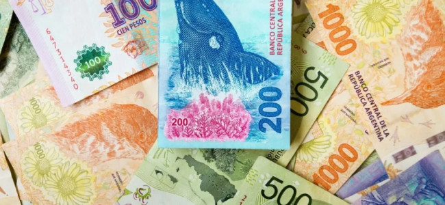 Nuevos billetes: se termina la era de los animales y vuelven "próceres y heroínas" de Argentina