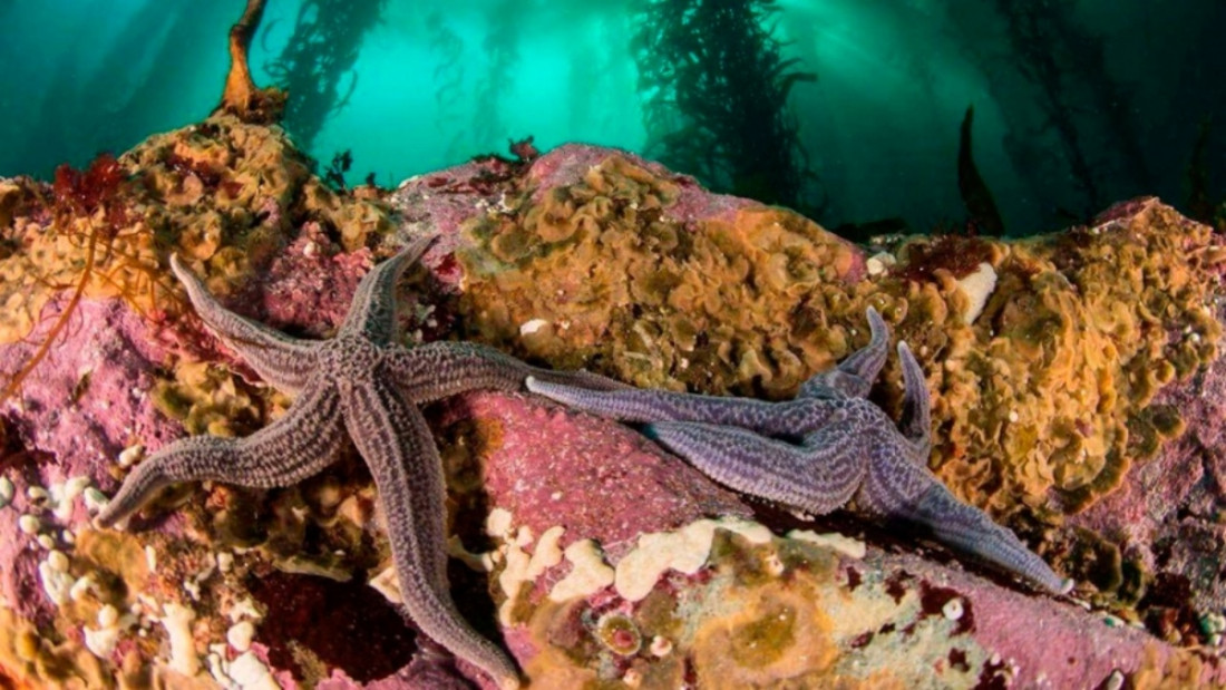 La UE destinará 3 millones de euros para proteger la biodiversidad en la Patagonia