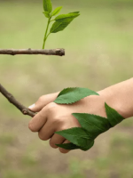 Si no conservamos la biodiversidad del planeta, está en riesgo la salud y la vida humana