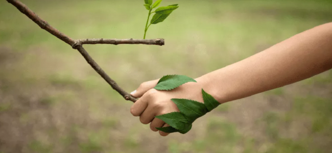 Si no conservamos la biodiversidad del planeta, está en riesgo la salud y la vida humana