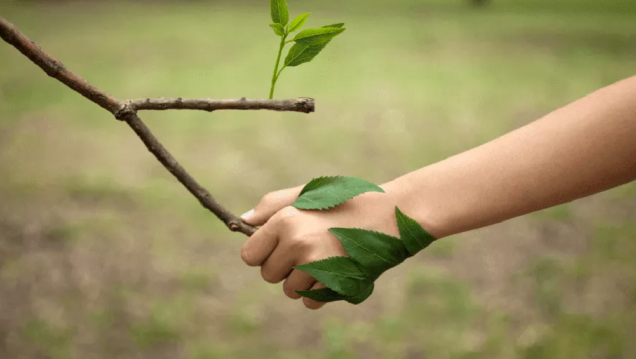 imagen Si no conservamos la biodiversidad del planeta, está en riesgo la salud y la vida humana