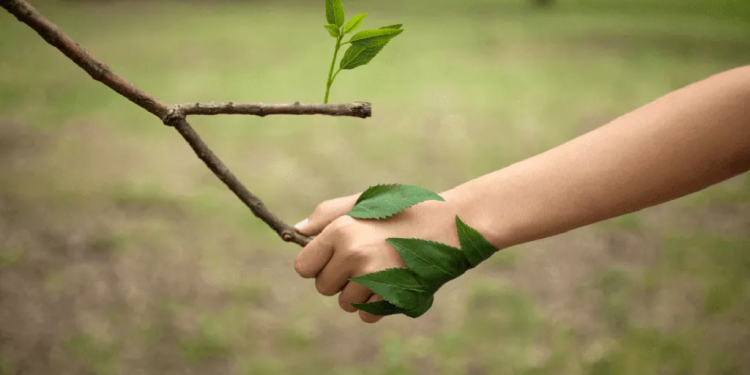 Si no conservamos la biodiversidad del planeta, está en riesgo la salud y la vida humana