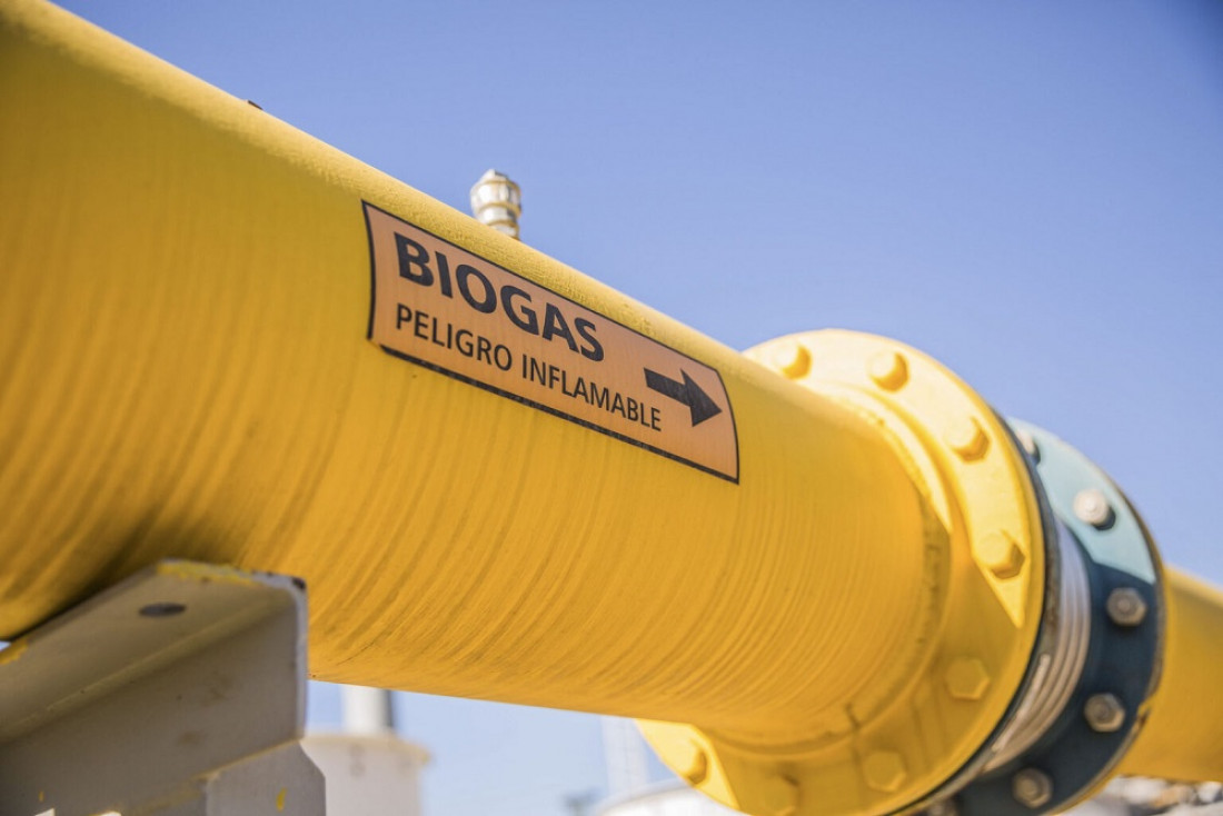 Biogás, una alternativa sustentable para satisfacer la demanda eléctrica a bajo costo