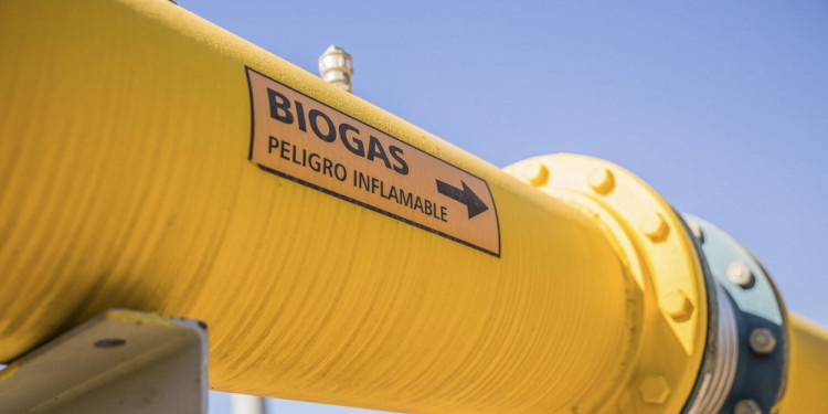 Biogás, una alternativa sustentable para satisfacer la demanda eléctrica a bajo costo