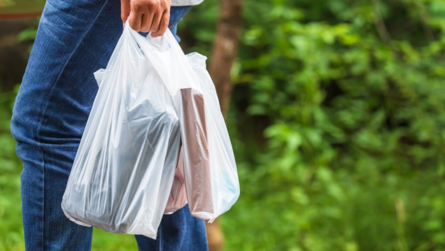 imagen Bolsas plásticas: cómo reutilizarlas para lograr una economía circular