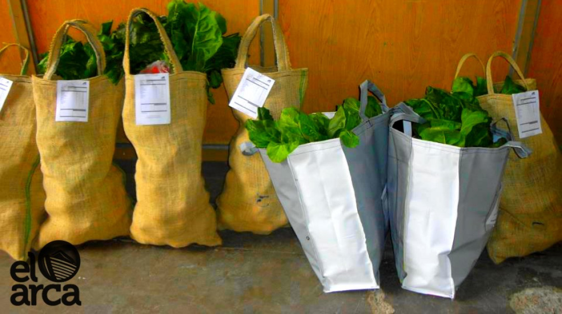 Trabajar la huerta sin agroquímicos, una forma de la Economía Social