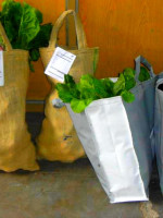 Trabajar la huerta sin agroquímicos, una forma de la Economía Social