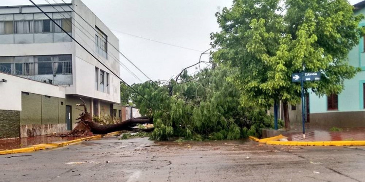 Tormenta y lluvias afectaron a importantes sectores del Gran Mendoza