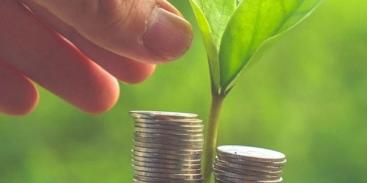Finanzas sostenibles: ¿qué son y para qué sirven los bonos verdes? 