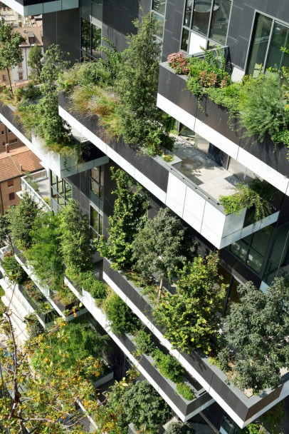 imagen Bosques que crecen en edificios a 100 metros de altura