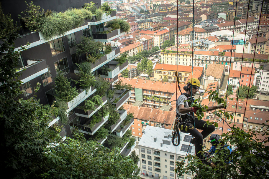 imagen Bosques que crecen en edificios a 100 metros de altura