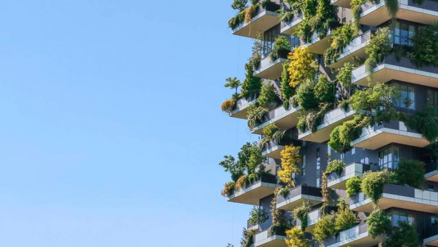 imagen Ofrecen capacitación de arquitectura sobre ambiente y desarrollo sostenible