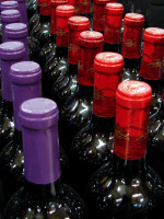 Panorama vitivinícola: ¿falta de competitividad o ansias de rentabilidad?