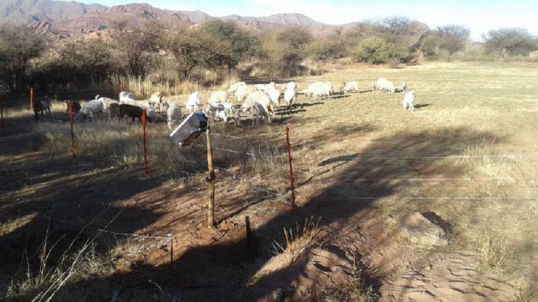 Boyeros solares, un sistema que ya ayuda a familias rurales sin acceso a la red eléctrica