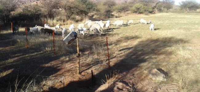 Boyeros solares, un sistema que ya ayuda a familias rurales sin acceso a la red eléctrica