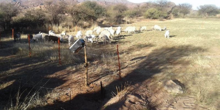 Boyeros solares, un sistema que ya ayuda a familias rurales sin acceso a la red eléctrica