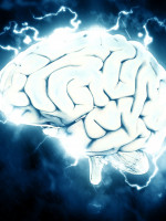 Viaje virtual al centro del cerebro humano