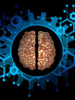 Investigación de Conicet identifica una actividad neuronal asociada a la impulsividad
